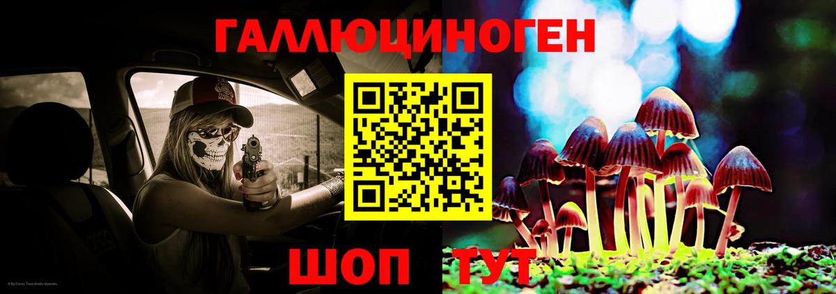 Псилоцибиновые грибы GOLDEN TEACHER Орёл